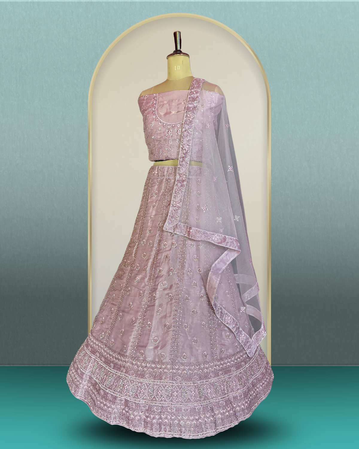 Celestial Diamond Border Lehenga