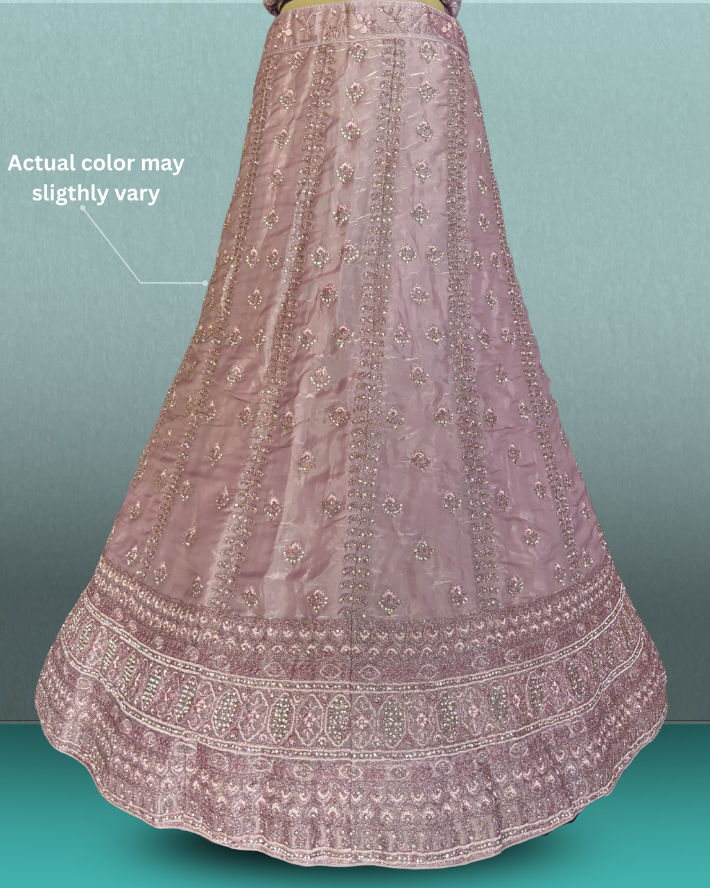 Celestial Diamond Border Lehenga