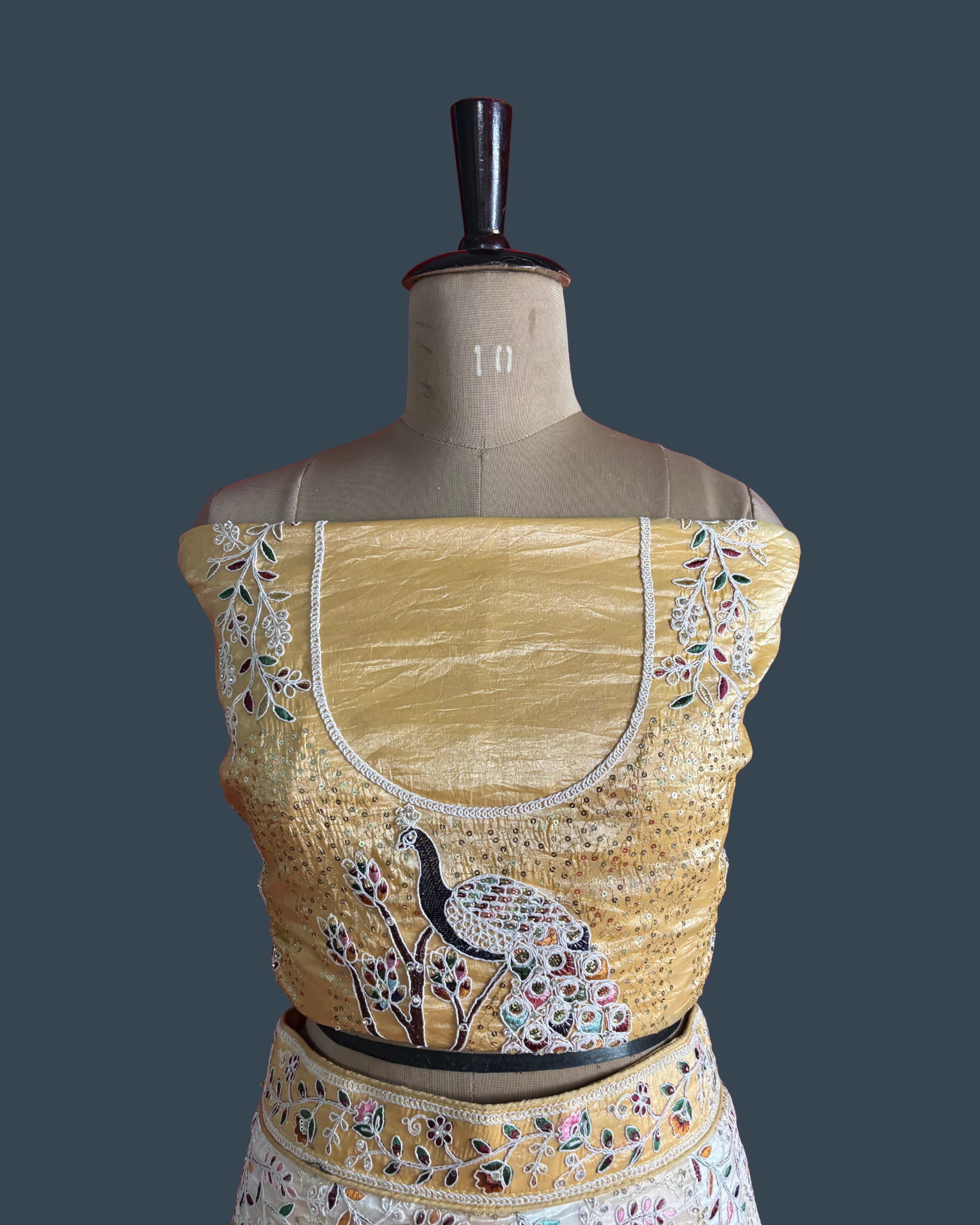 Cinderella Dreamscape