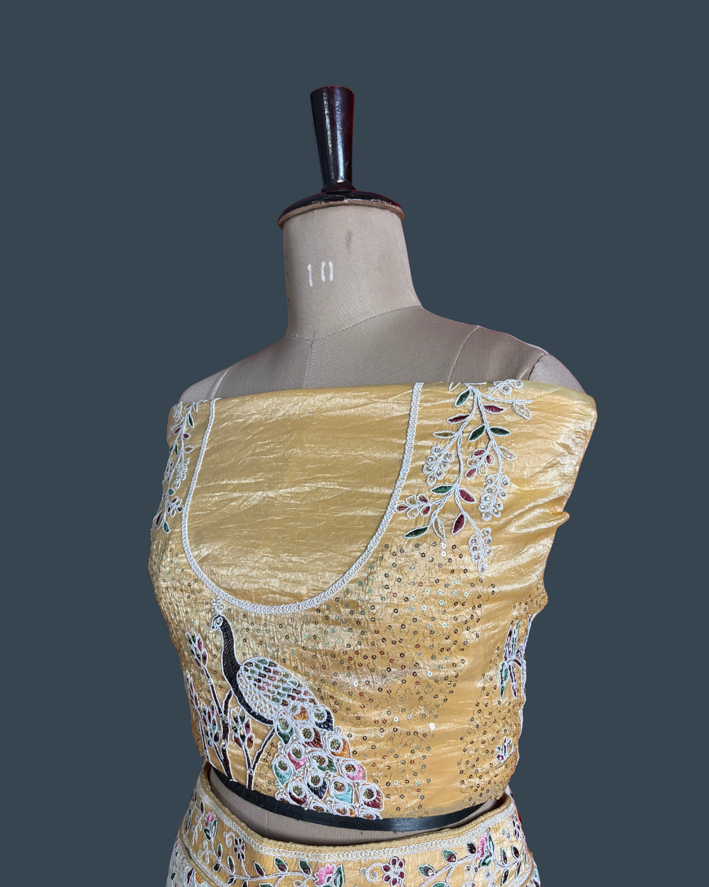 Cinderella Dreamscape