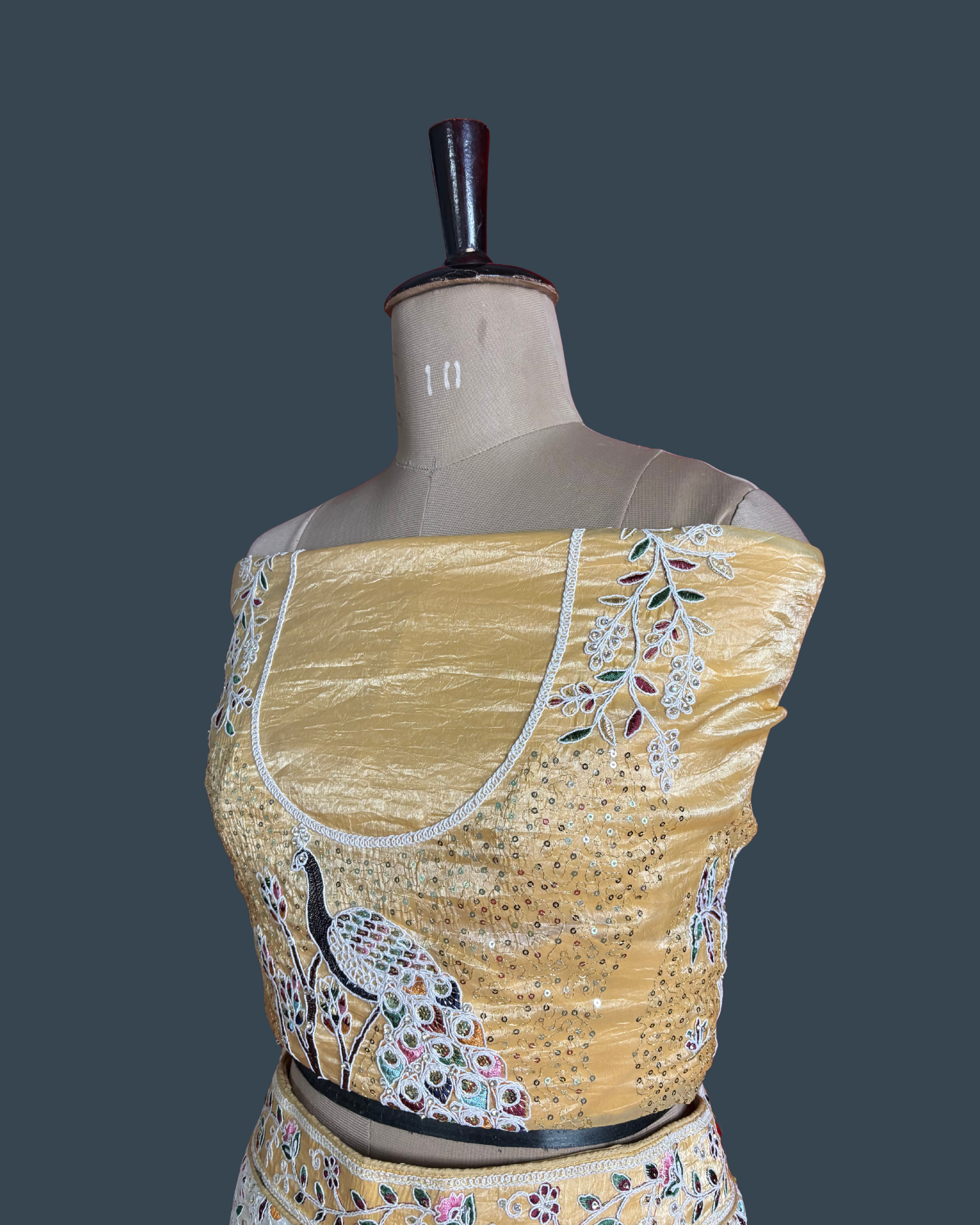 Cinderella Dreamscape